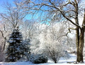 Sleepy Hollow winter light 1