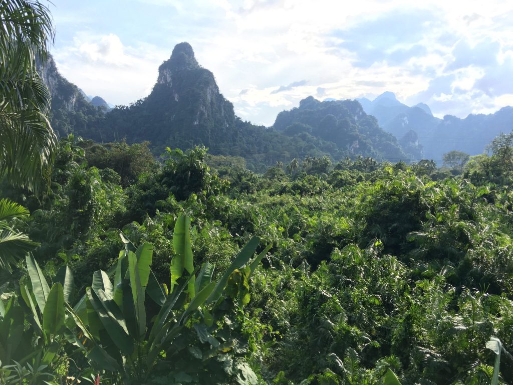 View from Anurak Lodge, Thailand (Photo: Alan Seale)