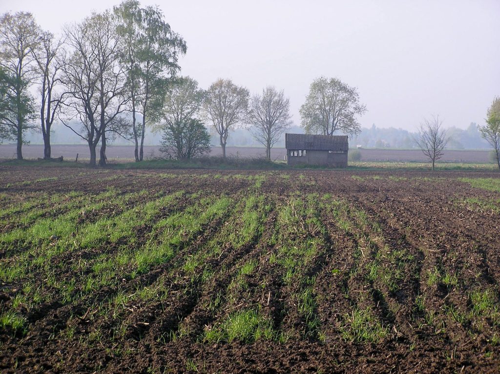 Early spring field by Klooster Nieuwkerk