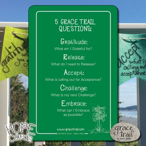 Grace Trail Questions